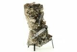 Dark Smoky Quartz Crystal Cluster on Metal Stand - Brazil #274488-2